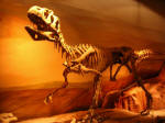 Dinosaur Museum at Trelew